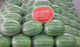 2024大瓜事件,揭秘娱乐圈风云变幻