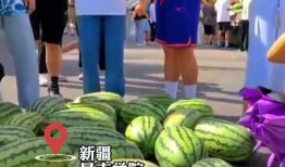 今日吃瓜学生校园什么网站,学生热议焦点一网打尽